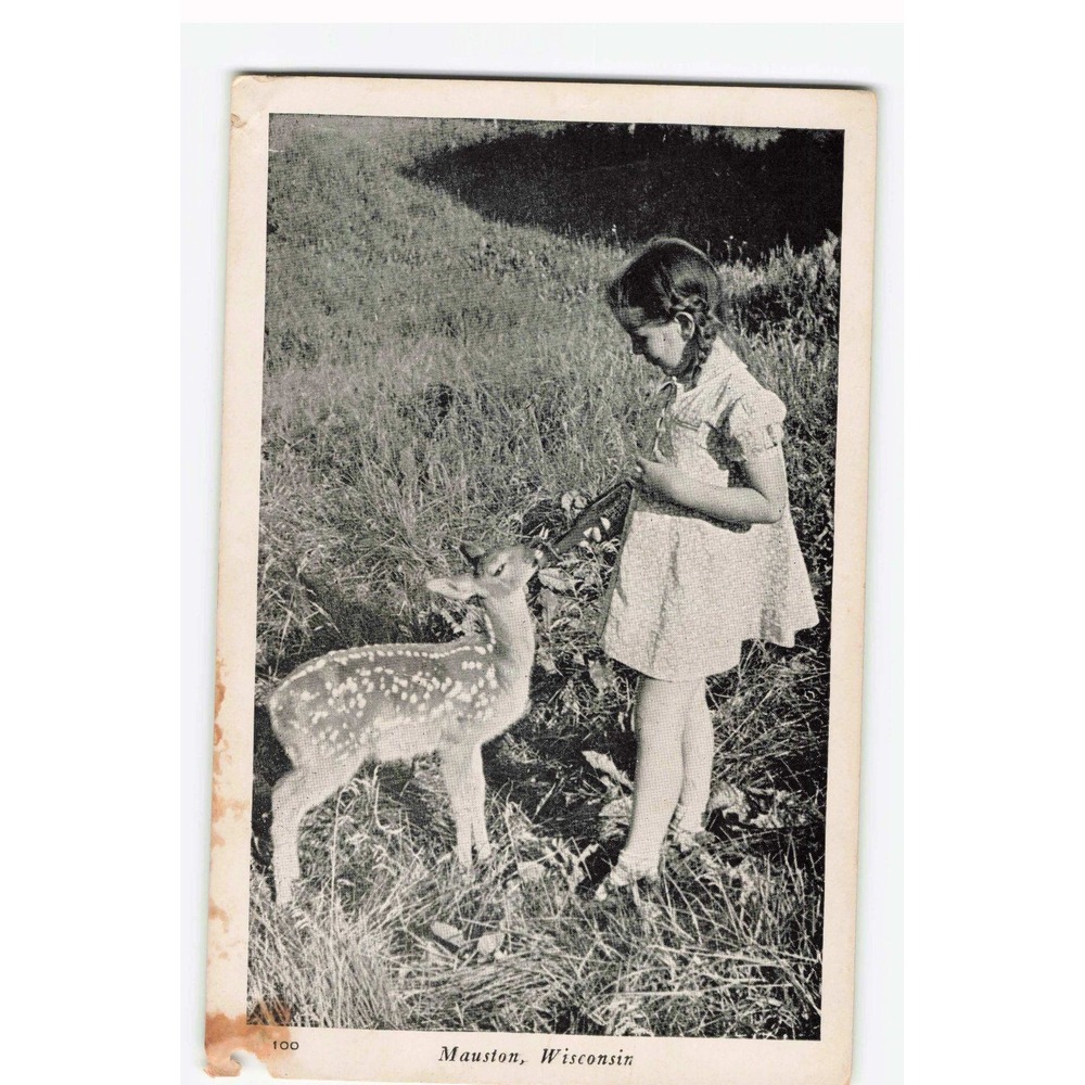 Vintage Mauston Wisconsin Postcard Girl Feeding Fawn Herman the Printer BW
